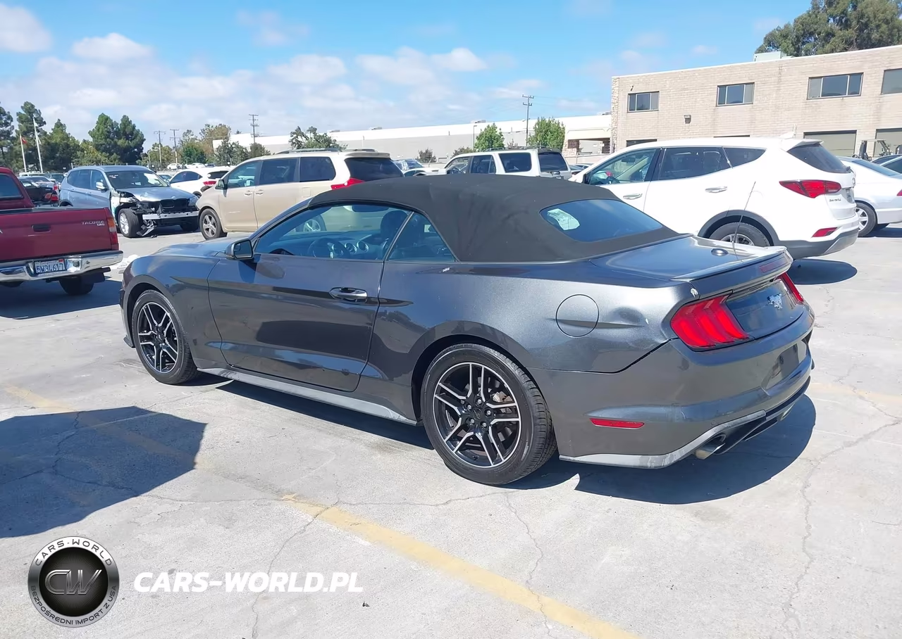 2019 Ford Mustang Ecoboost Premium VIN:1FATP8UHXK5106443 - 3
