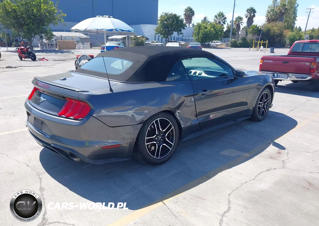 2019 Ford Mustang Ecoboost Premium VIN:1FATP8UHXK5106443 - 4