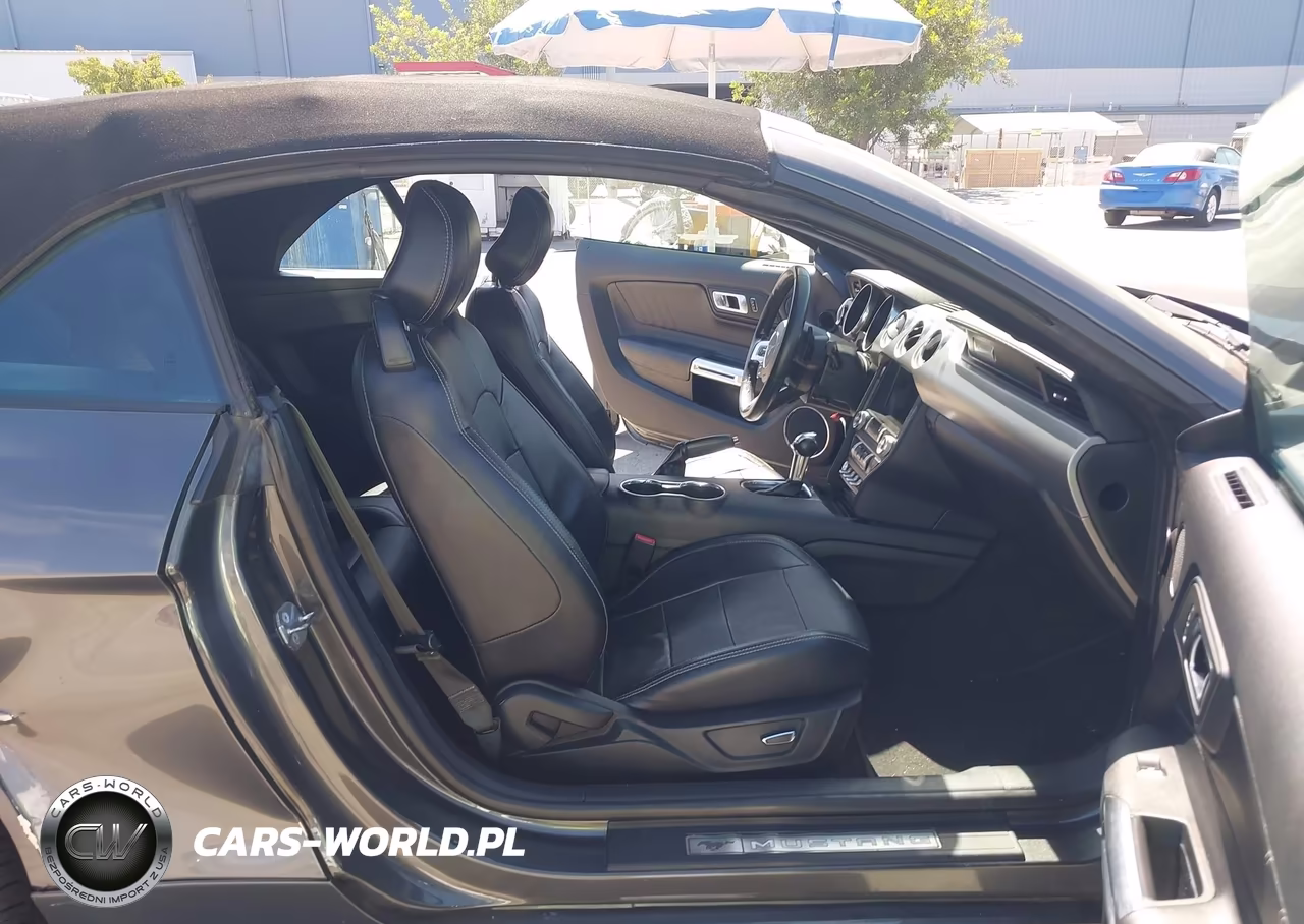 2019 Ford Mustang Ecoboost Premium VIN:1FATP8UHXK5106443 - 5