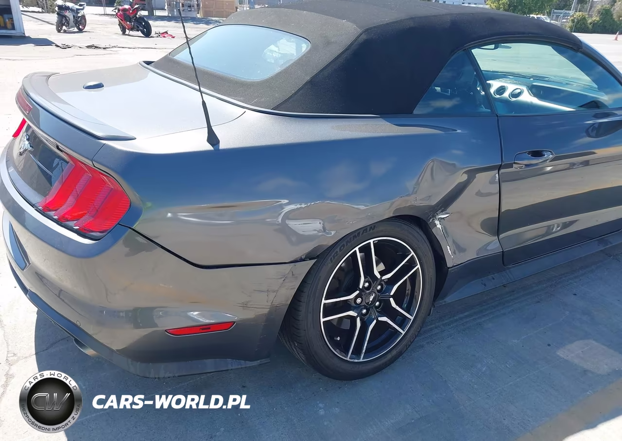2019 Ford Mustang Ecoboost Premium VIN:1FATP8UHXK5106443 - 6