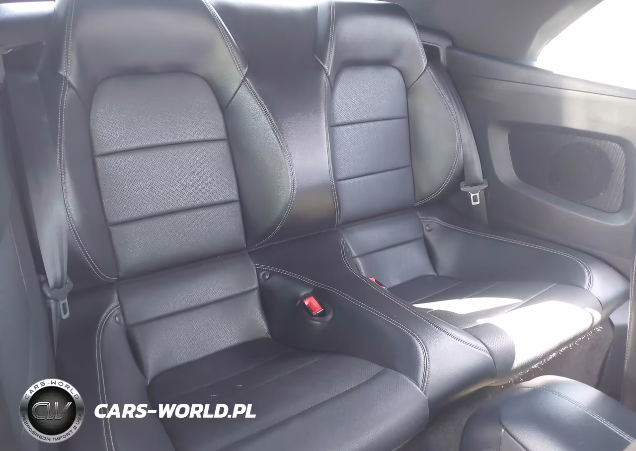 2019 Ford Mustang Ecoboost Premium VIN:1FATP8UHXK5106443 - 8