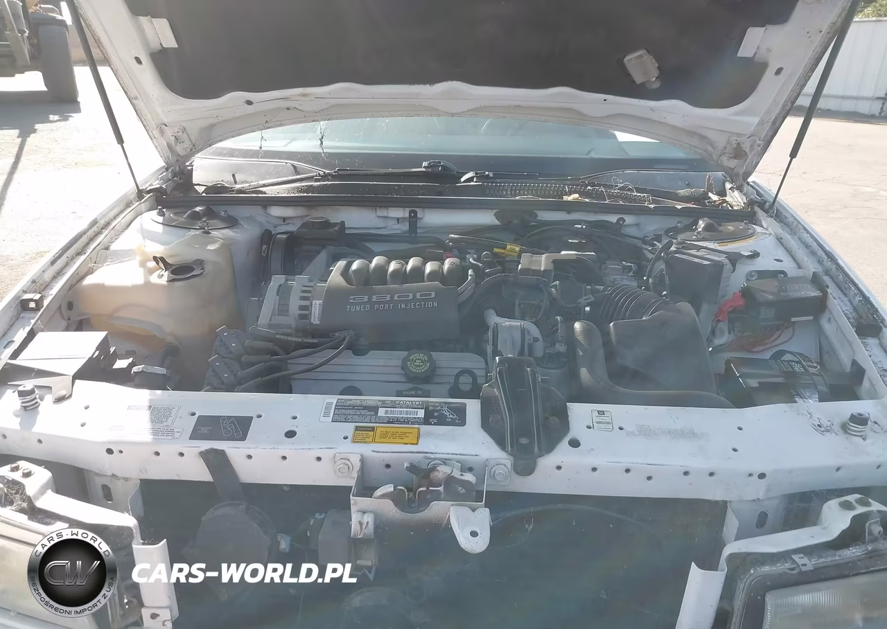 1994 Buick Regal Custom VIN:2G4WB55L7R1466350 - 10