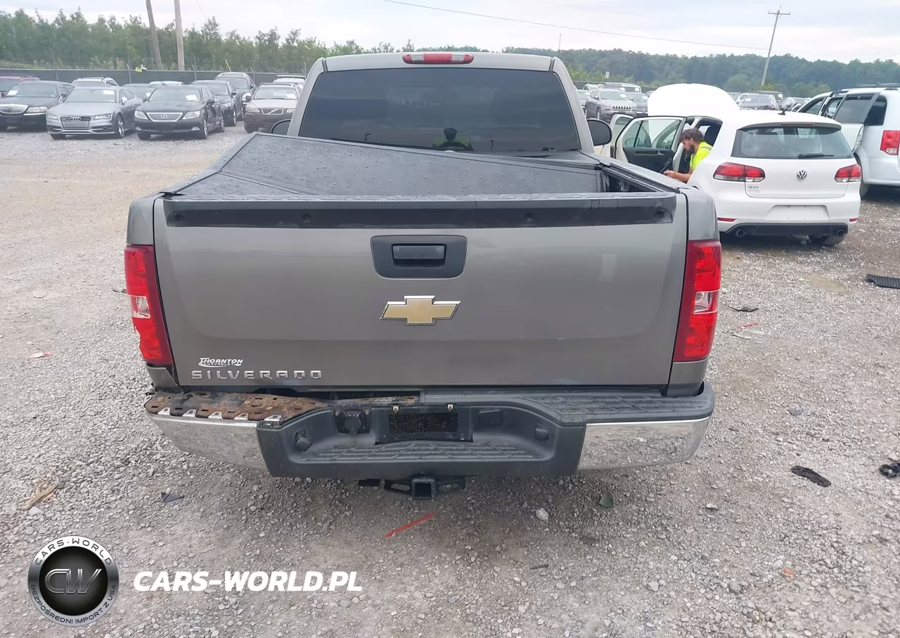 2008 Chevrolet Silverado 1500 Work Truck VIN:1GCEC14X08Z282397 - 16