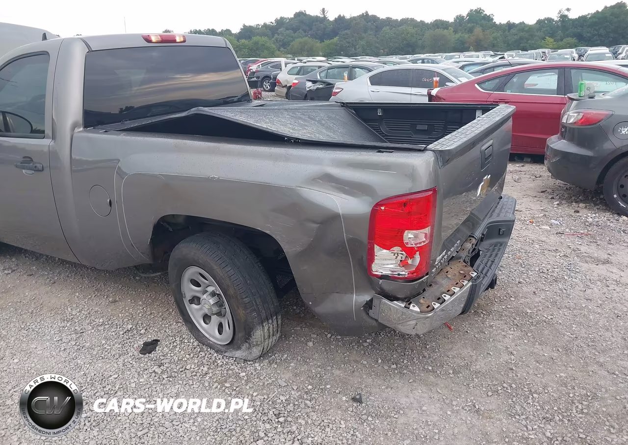 2008 Chevrolet Silverado 1500 Work Truck VIN:1GCEC14X08Z282397 - 6