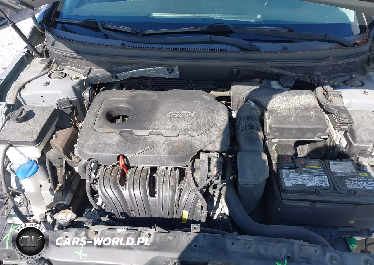 2015 Hyundai Sonata Sport VIN:5NPE34AF5FH166095 - 10