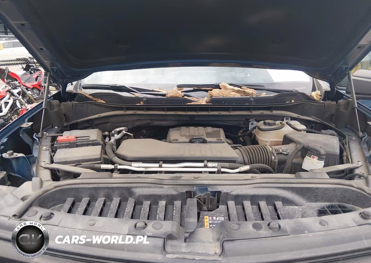 2024 Chevrolet Silverado 1500 4Wd Short Bed Custom Trail Boss VIN:3GCPDCEK0RG255139 - 10