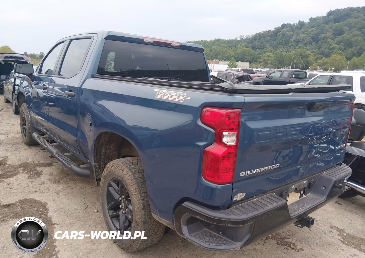 2024 Chevrolet Silverado 1500 4Wd Short Bed Custom Trail Boss VIN:3GCPDCEK0RG255139 - 3