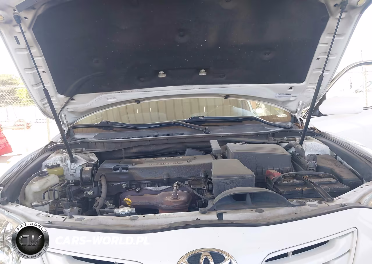 2009 Toyota Camry Le VIN:4T4BE46K99R076463 - 10