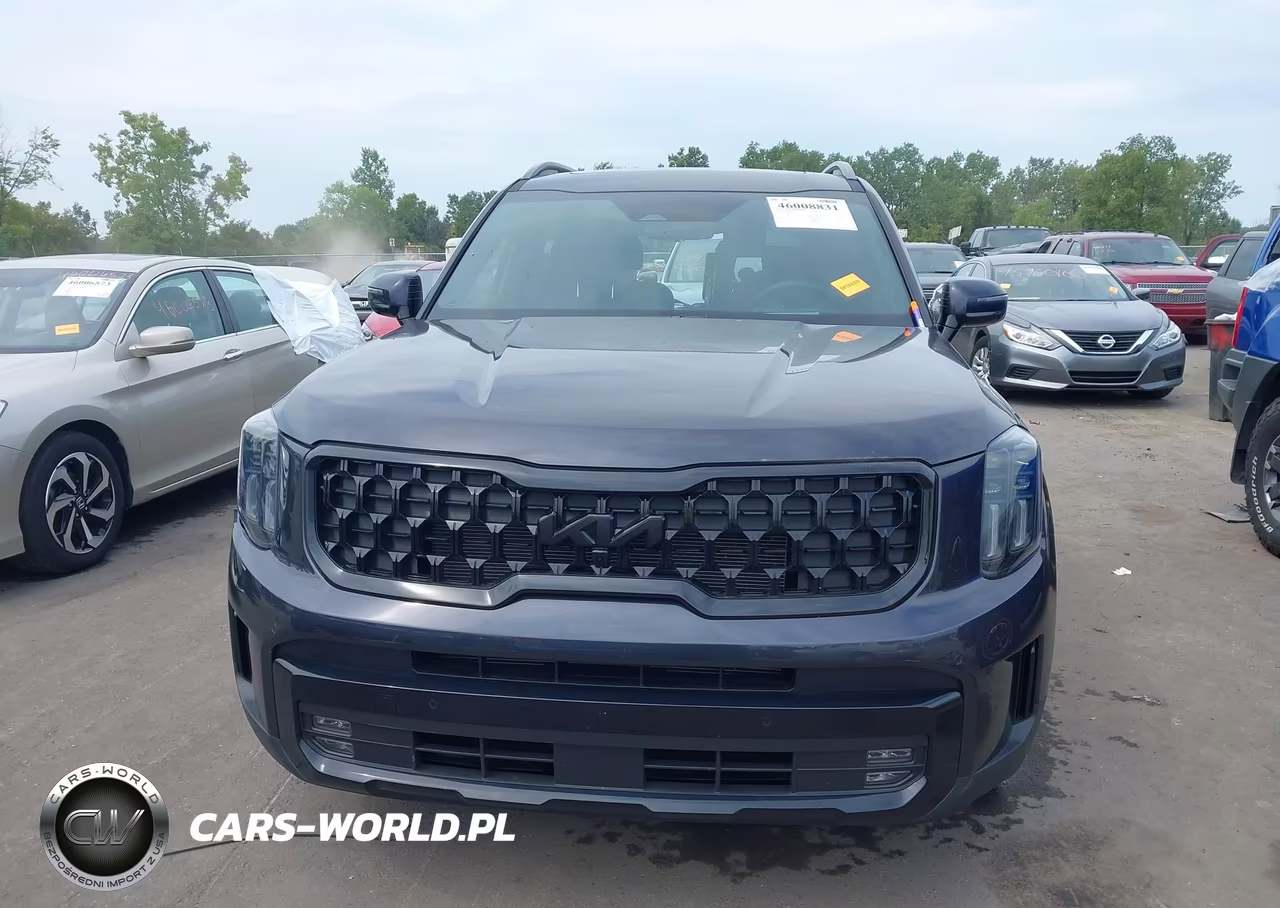2025 Kia Telluride Sx Prestige X-Line VIN:5XYP5DGC7SG700232 - 13