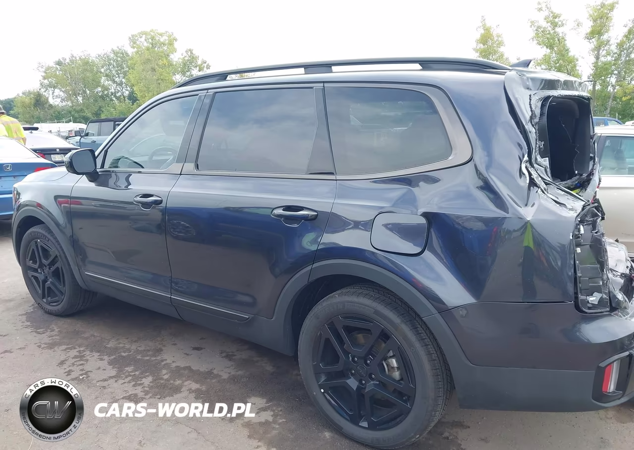2025 Kia Telluride Sx Prestige X-Line VIN:5XYP5DGC7SG700232 - 15