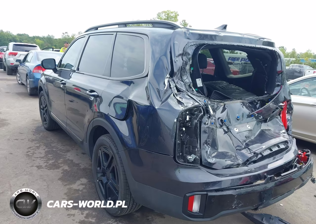 2025 Kia Telluride Sx Prestige X-Line VIN:5XYP5DGC7SG700232 - 3