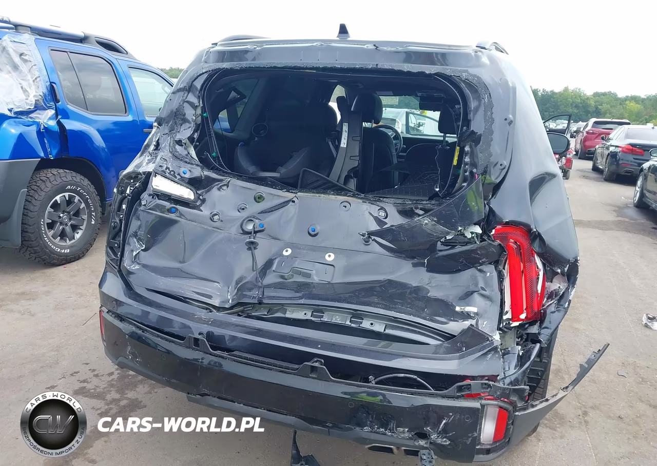 2025 Kia Telluride Sx Prestige X-Line VIN:5XYP5DGC7SG700232 - 6