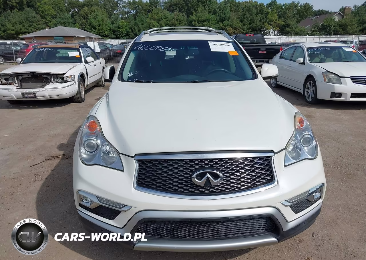 2017 Infiniti Qx50 VIN:JN1BJ0RR1HM411549 - 12