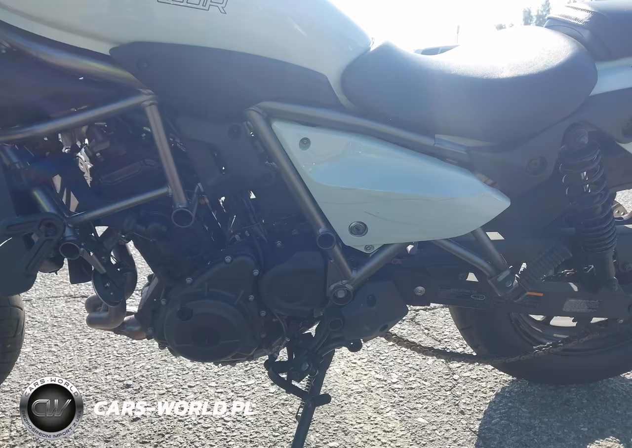 2024 Kawasaki El450 C VIN:ML5ELFC14RDA02129 - 9