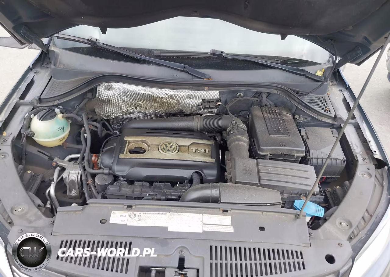 2012 Volkswagen Tiguan Se VIN:WVGBV7AX1CW553462 - 10
