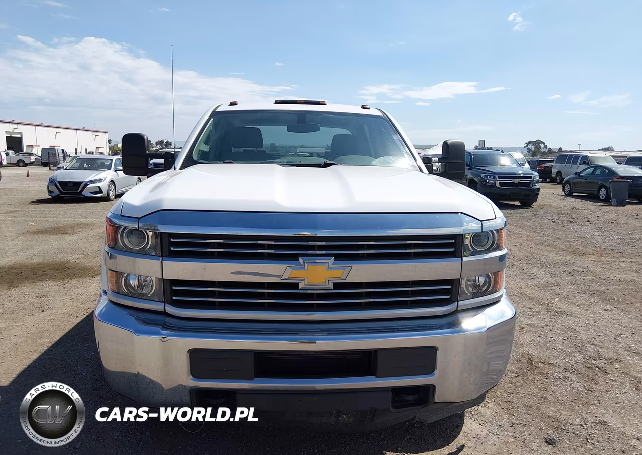 2018 Chevrolet Silverado 3500Hd Wt VIN:1GC4KYCG8JF273575 - 12