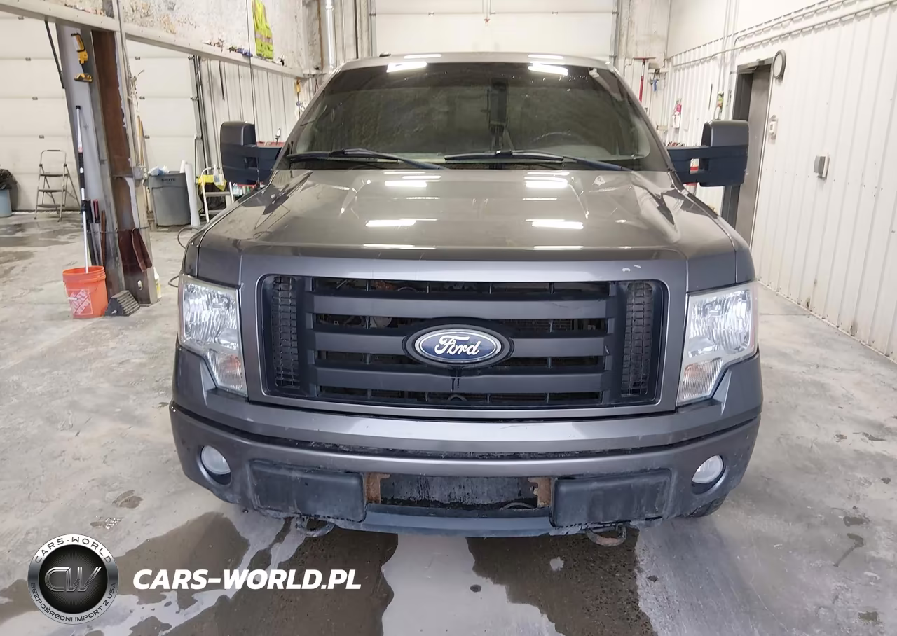 2010 Ford F-150 Fx4 VIN:1FTFW1EV1AFC78925 - 12