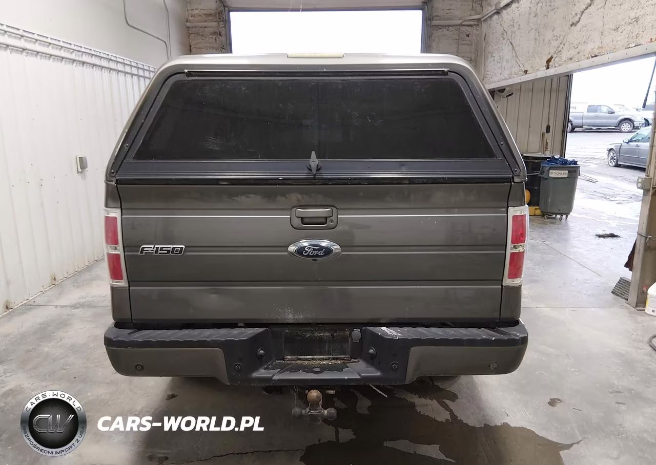 2010 Ford F-150 Fx4 VIN:1FTFW1EV1AFC78925 - 16