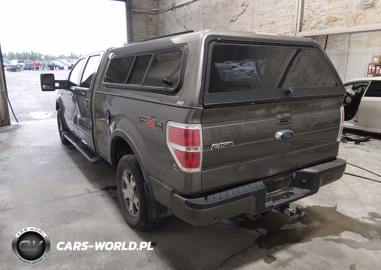 2010 Ford F-150 Fx4 VIN:1FTFW1EV1AFC78925 - 3