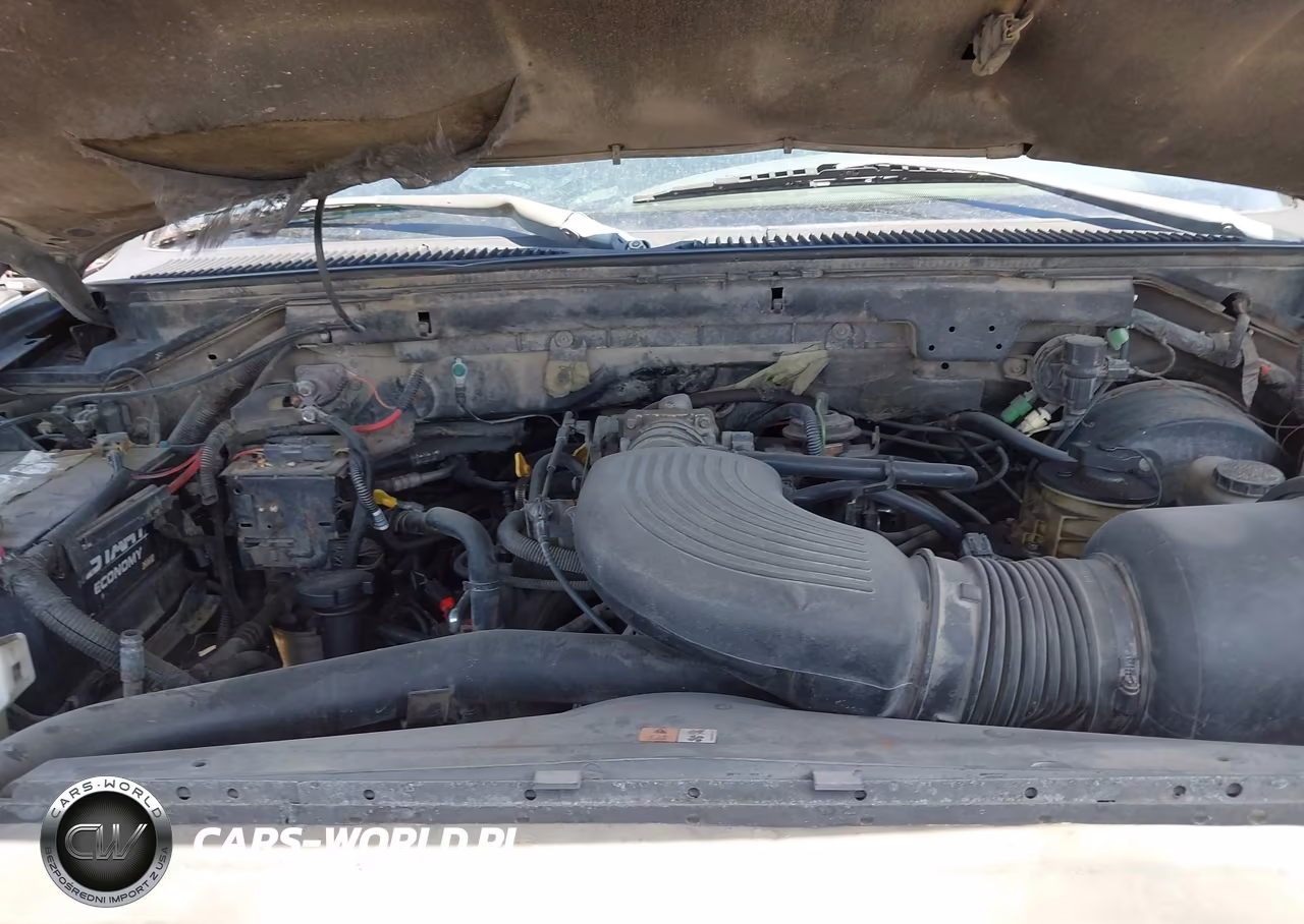 2003 Ford F-150 Lariat-Xlt VIN:1FTRW08L13KB66377 - 10