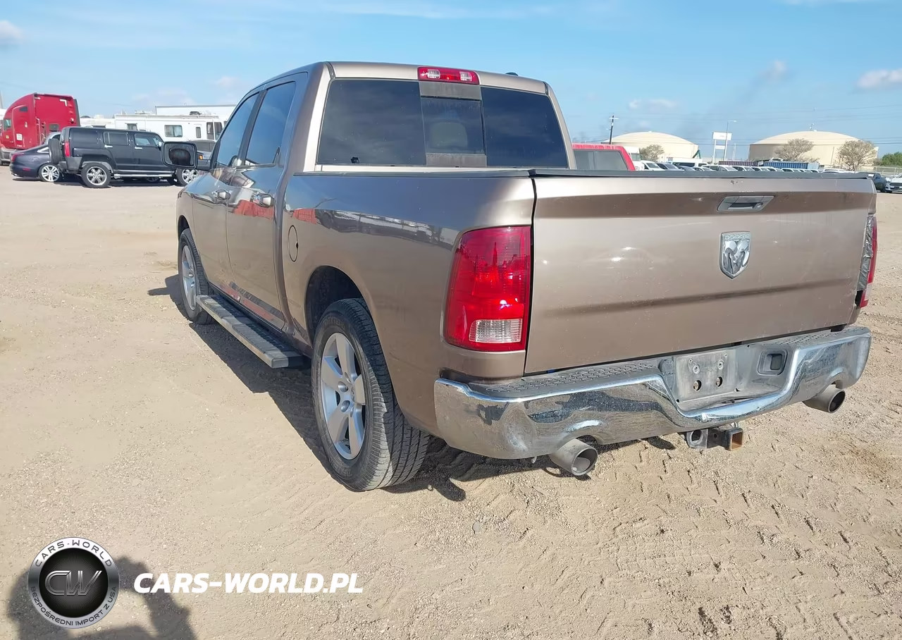 2010 Dodge Ram 1500 Slt-Sport-Trx VIN:1D7RB1CT2AS209328 - 3