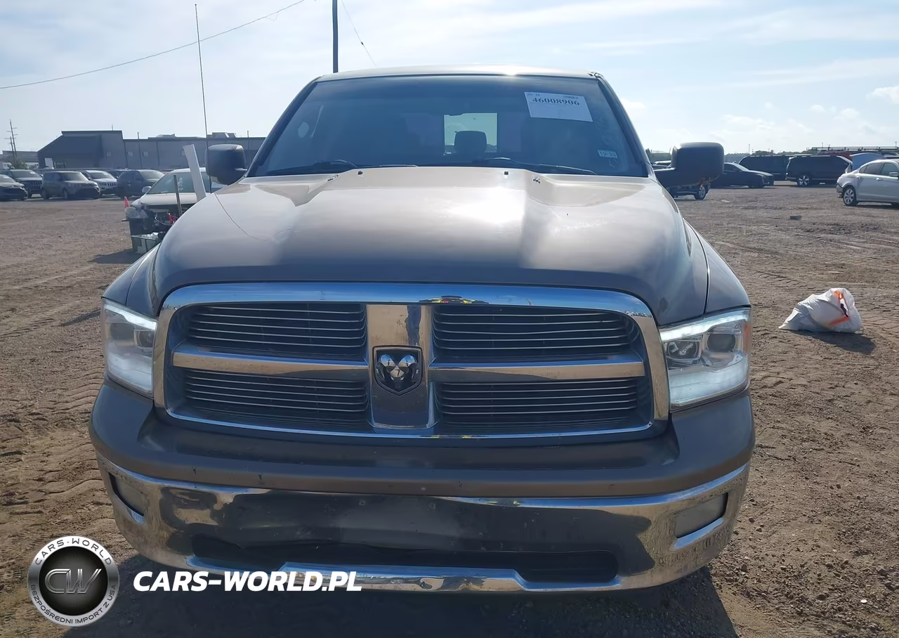 2010 Dodge Ram 1500 Slt-Sport-Trx VIN:1D7RB1CT2AS209328 - 6