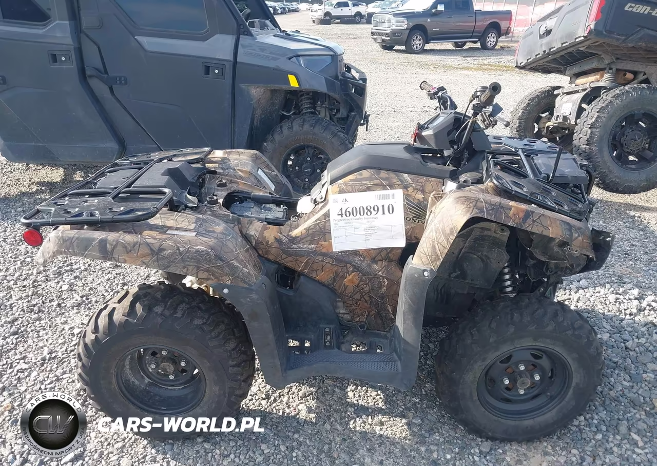 2022 Honda Trx420 Fm VIN:1HFTE40B6N4800203 - 12