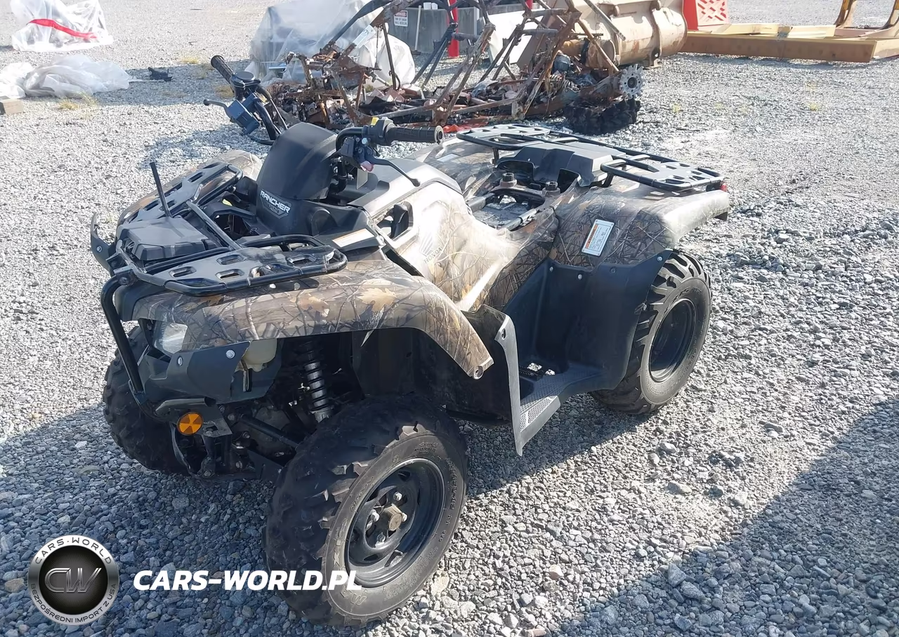 2022 Honda Trx420 Fm VIN:1HFTE40B6N4800203 - 2