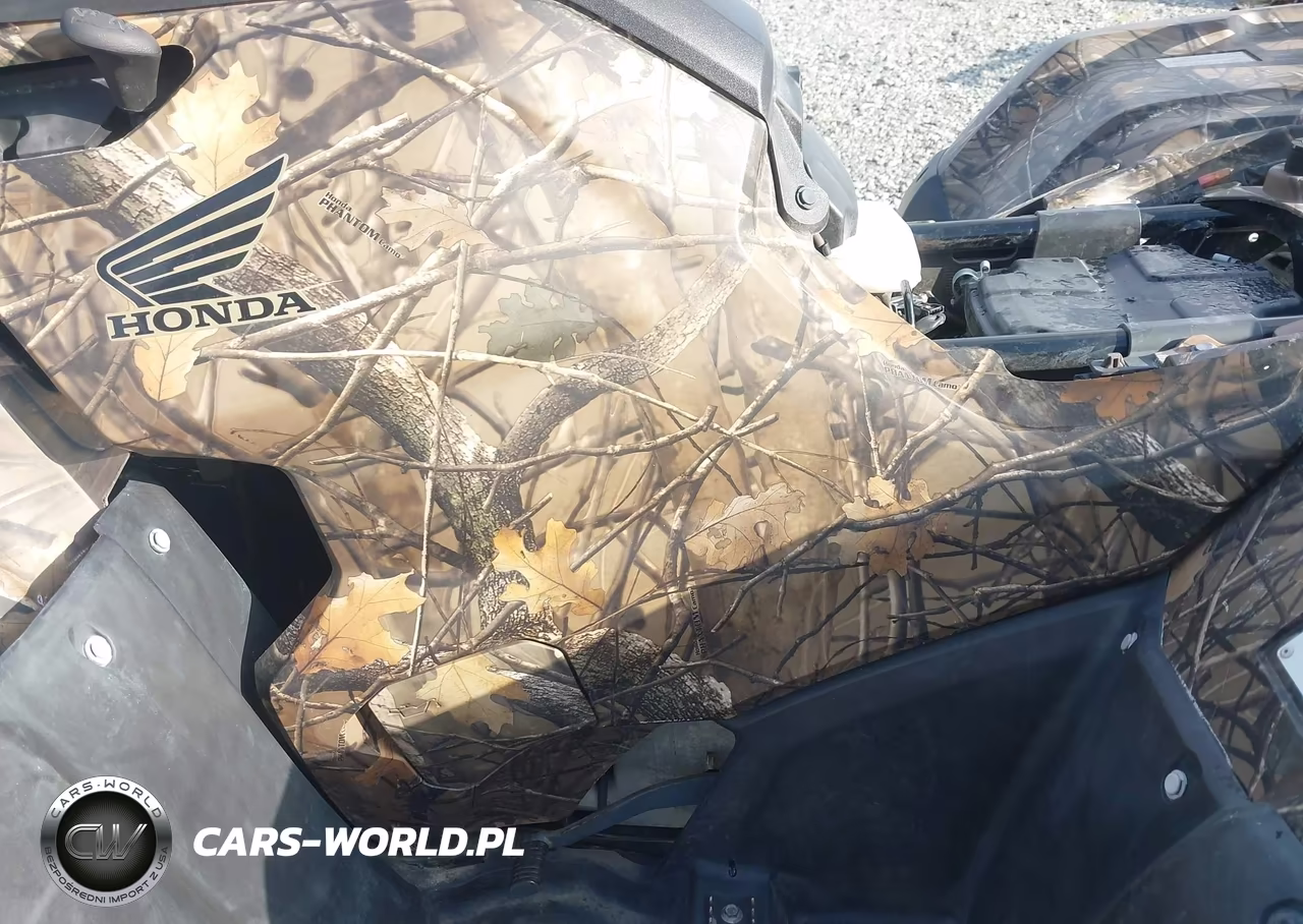 2022 Honda Trx420 Fm VIN:1HFTE40B6N4800203 - 9