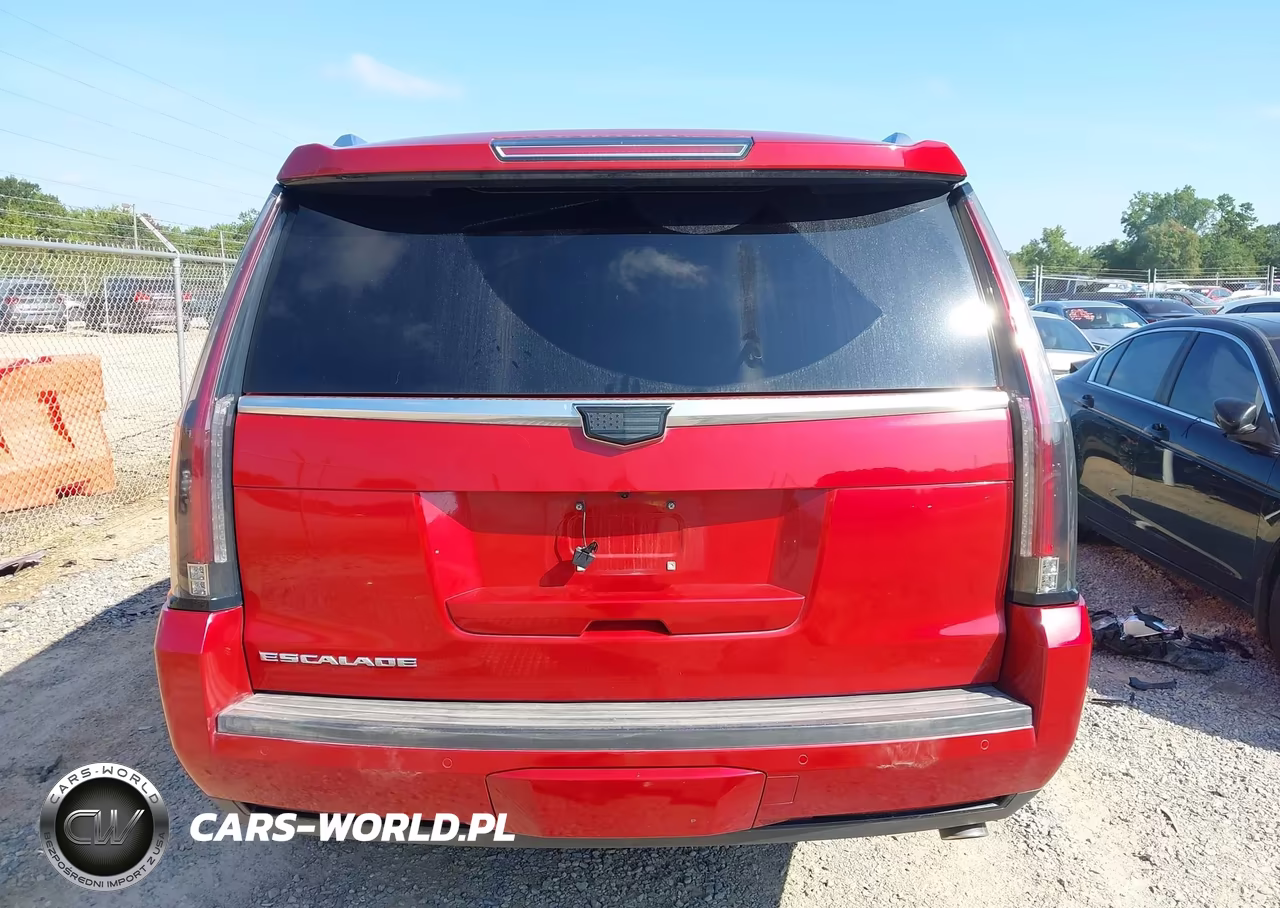 2015 Cadillac Escalade Premium VIN:1GYS4NKJ0FR712989 - 16