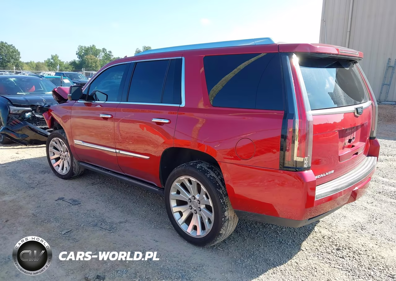 2015 Cadillac Escalade Premium VIN:1GYS4NKJ0FR712989 - 3