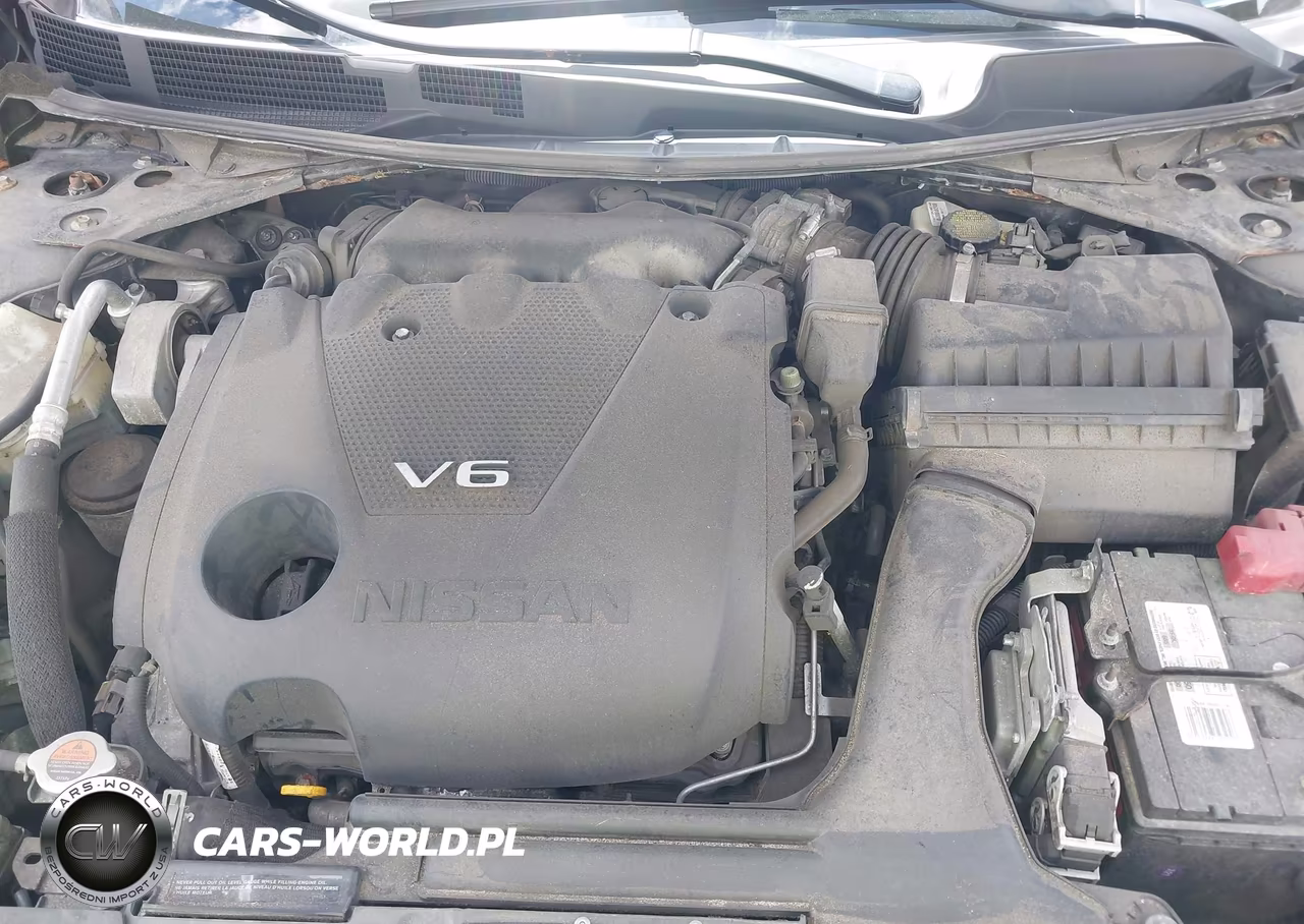 2016 Nissan Maxima 3.5 Platinum VIN:1N4AA6AP8GC901017 - 10