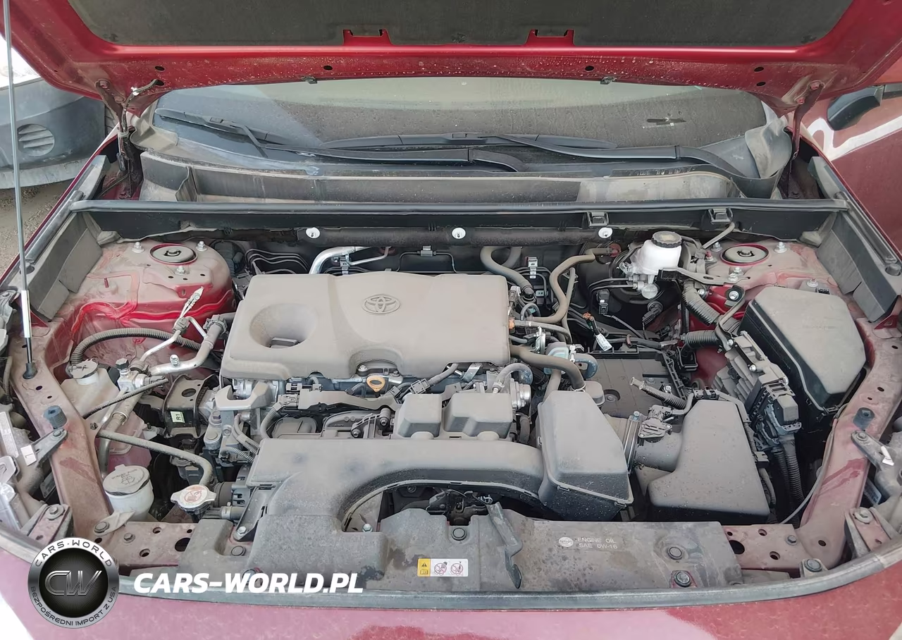 2024 Toyota Rav4 Xle VIN:2T3W1RFV4RW362324 - 10