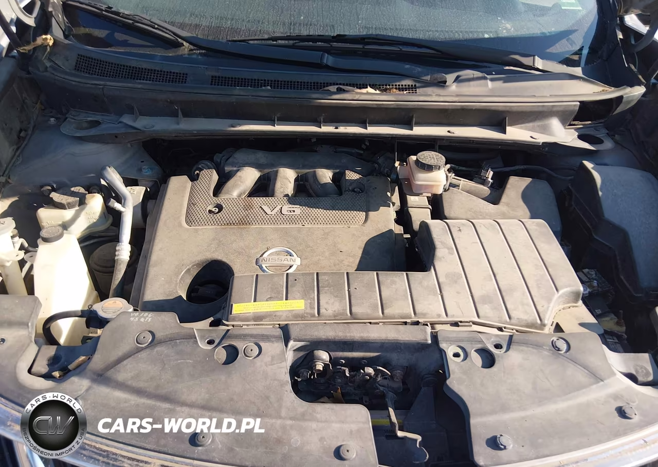 2010 Nissan Murano Sl VIN:JN8AZ1MW1AW103915 - 10