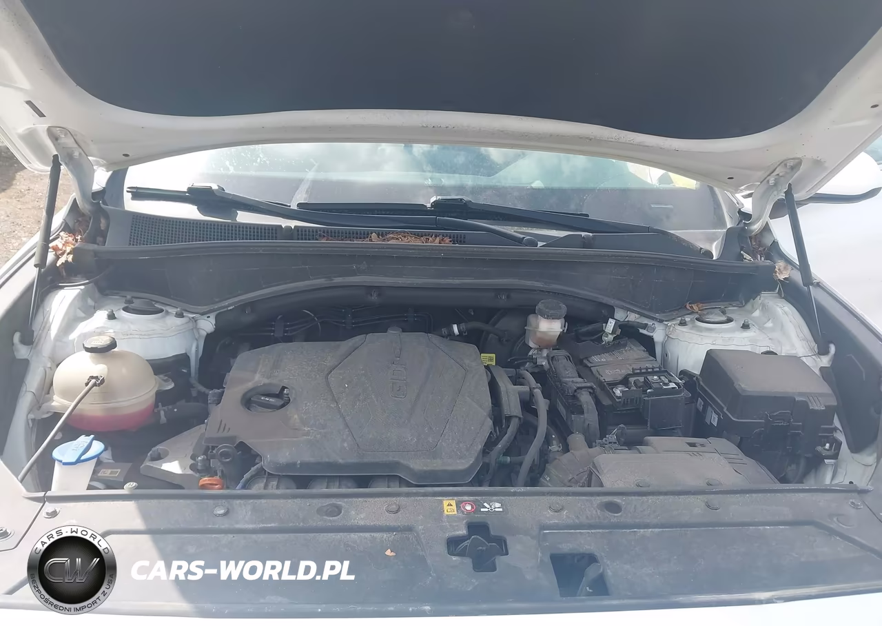 2022 Hyundai Santa Fe Se VIN:5NMS1DAJ1NH405702 - 10