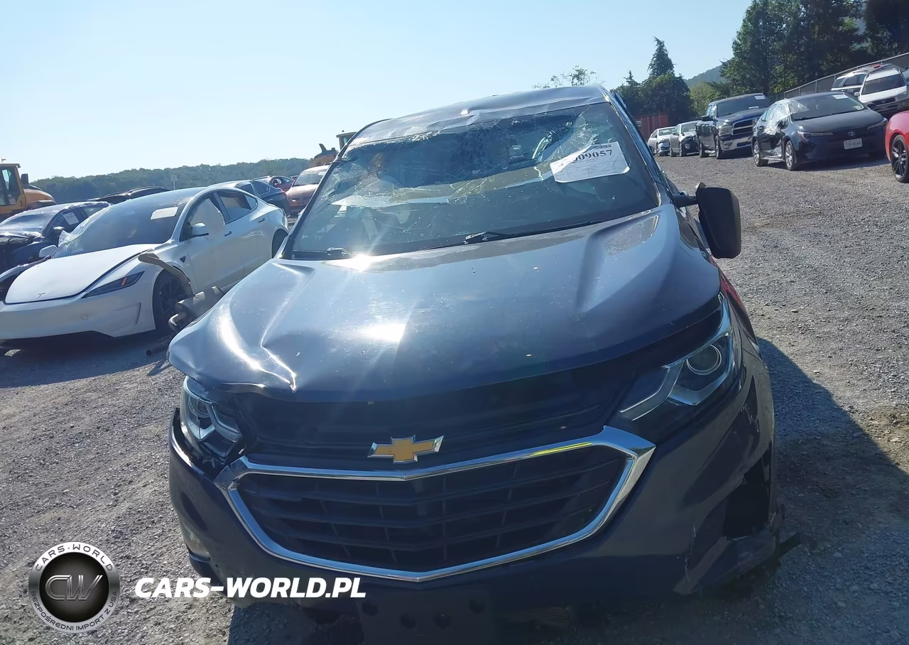 2018 Chevrolet Equinox Ls VIN:3GNAXHEV2JS639260 - 12