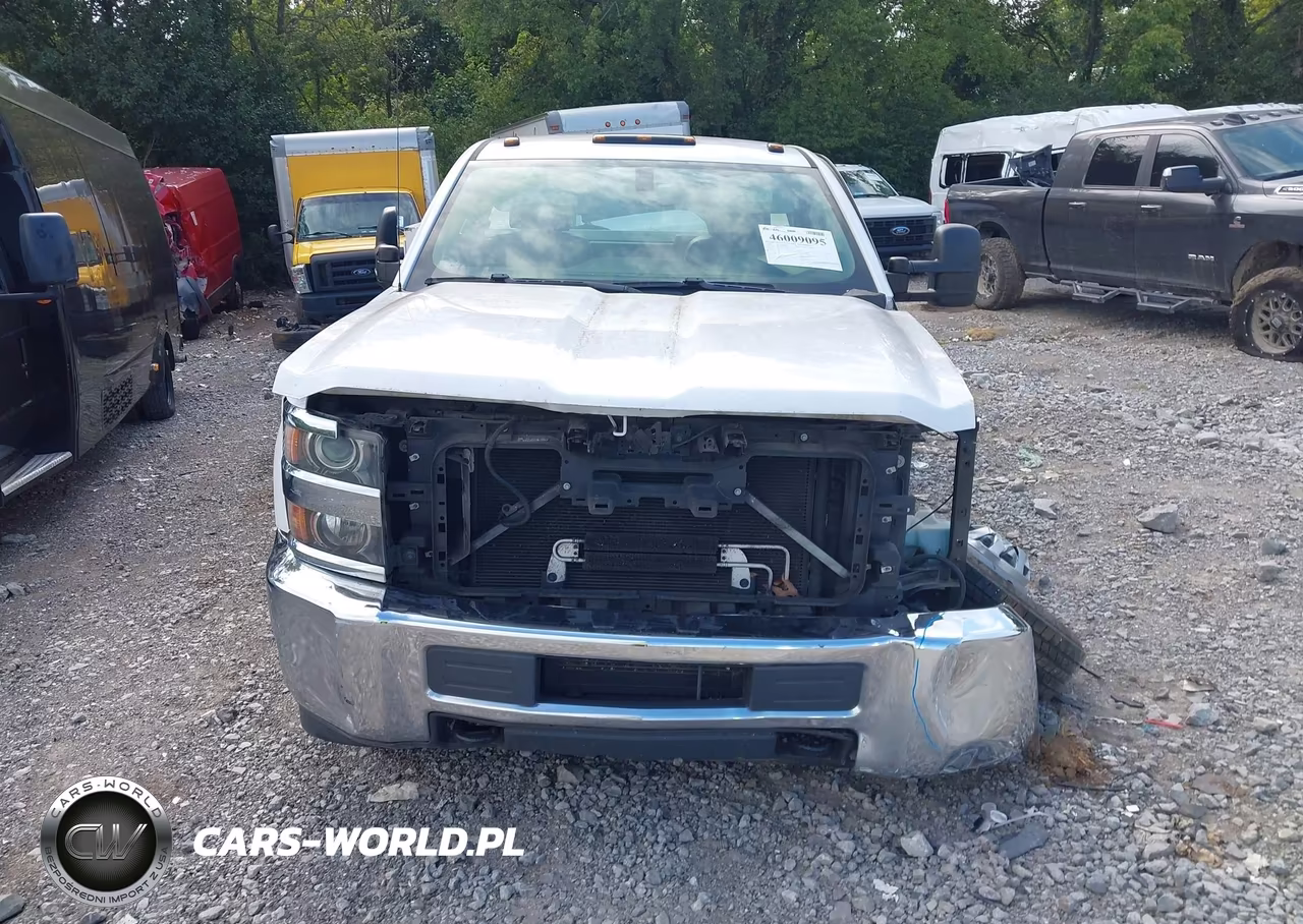 2016 Chevrolet Silverado 3500Hd Chassis Wt VIN:1GB3CYCG8GZ302948 - 12