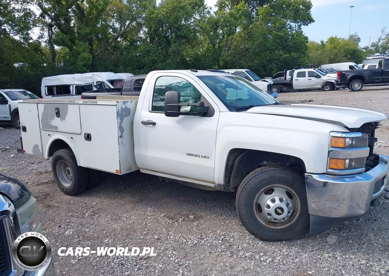 2016 Chevrolet Silverado 3500Hd Chassis Wt VIN:1GB3CYCG8GZ302948 - 13