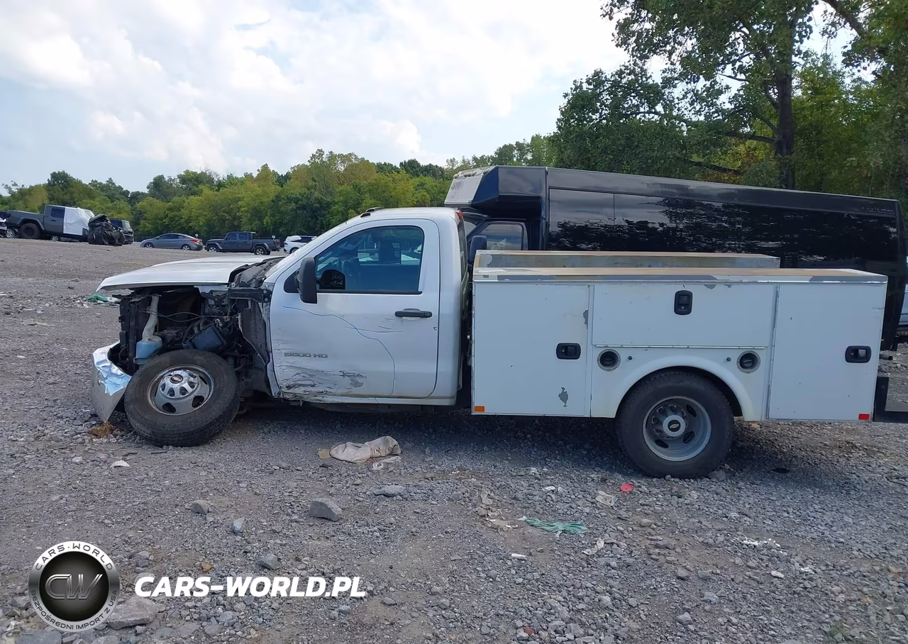 2016 Chevrolet Silverado 3500Hd Chassis Wt VIN:1GB3CYCG8GZ302948 - 14