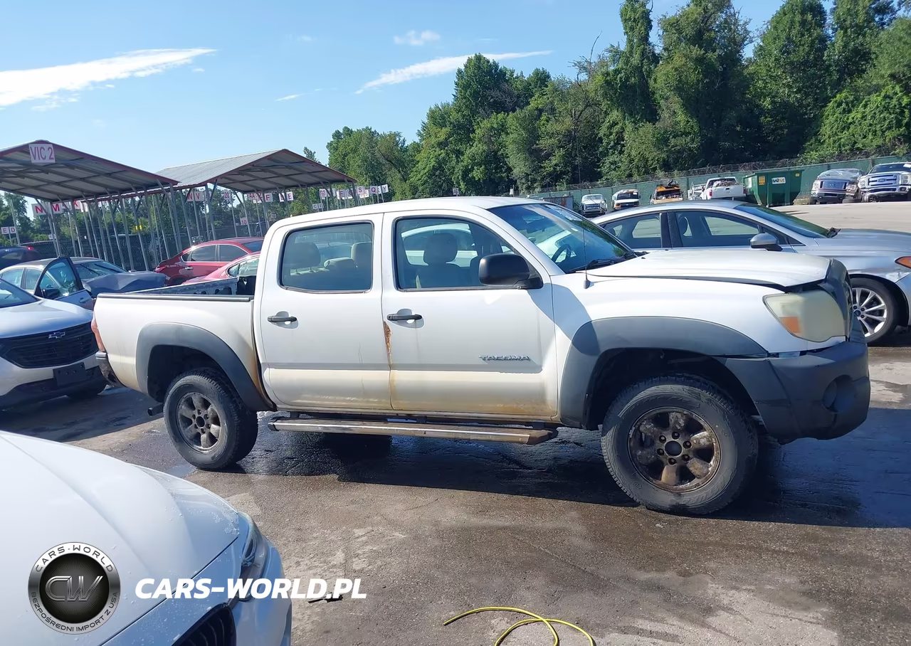 2005 Toyota Tacoma Base V6 VIN:5TELU42N65Z056209 - 12