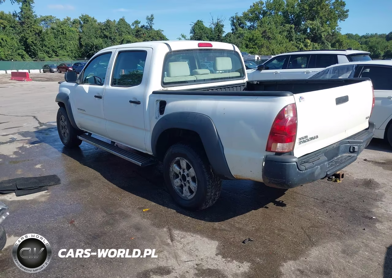 2005 Toyota Tacoma Base V6 VIN:5TELU42N65Z056209 - 3