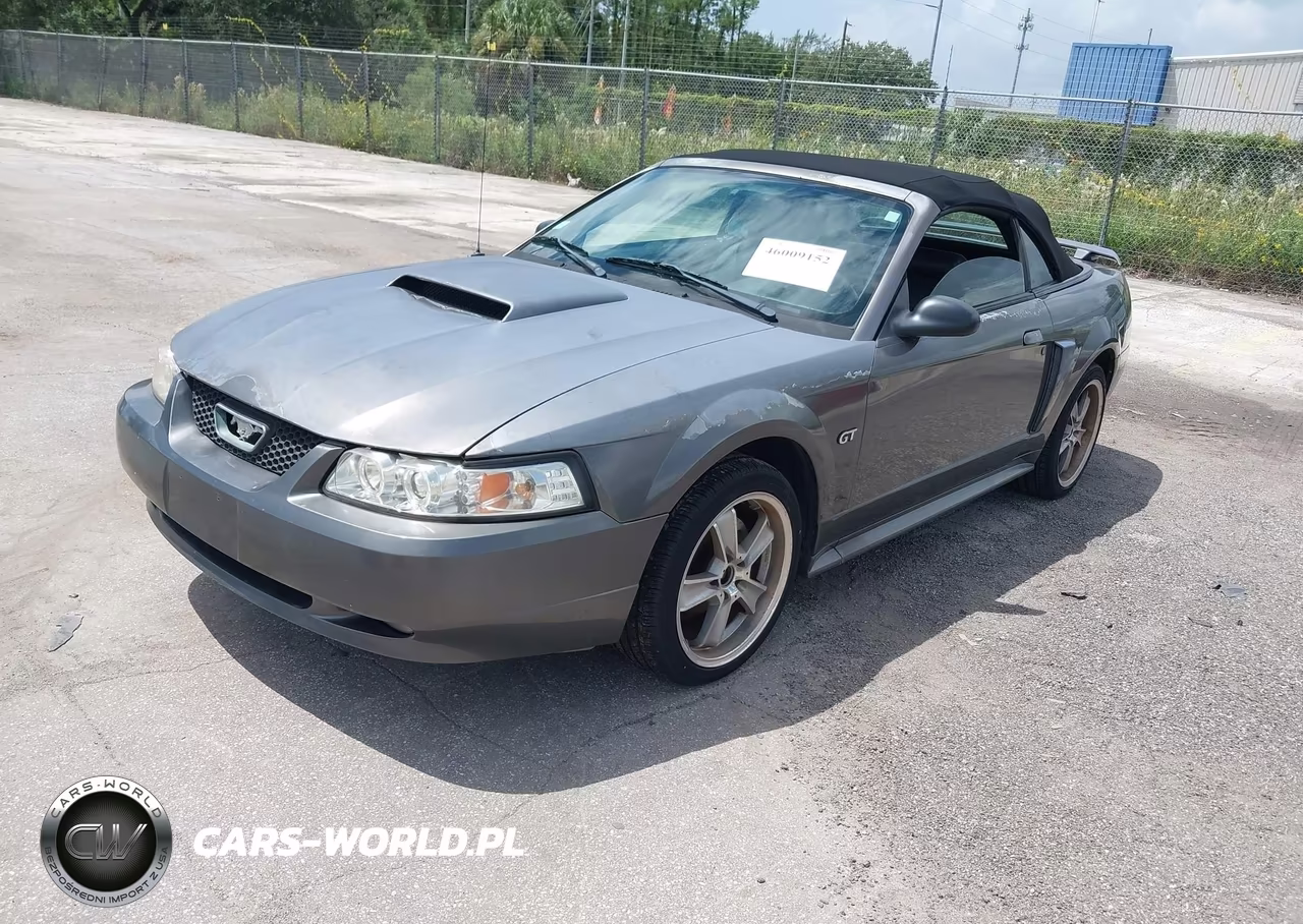 2003 Ford Mustang Gt VIN:1FAFP45X03F306822 - 2