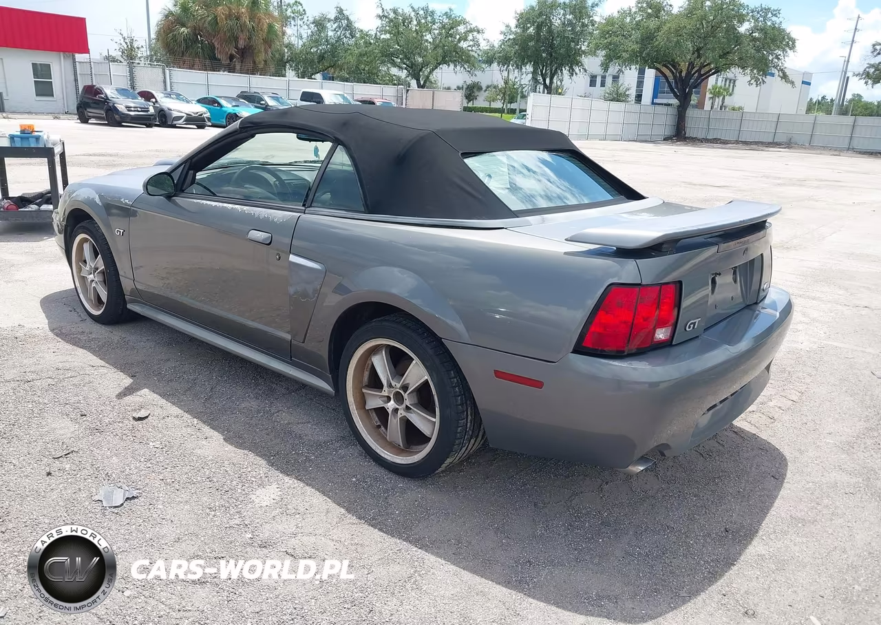2003 Ford Mustang Gt VIN:1FAFP45X03F306822 - 3