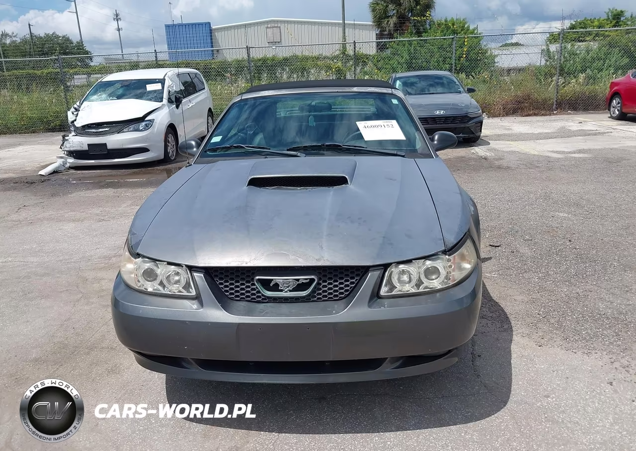 2003 Ford Mustang Gt VIN:1FAFP45X03F306822 - 6
