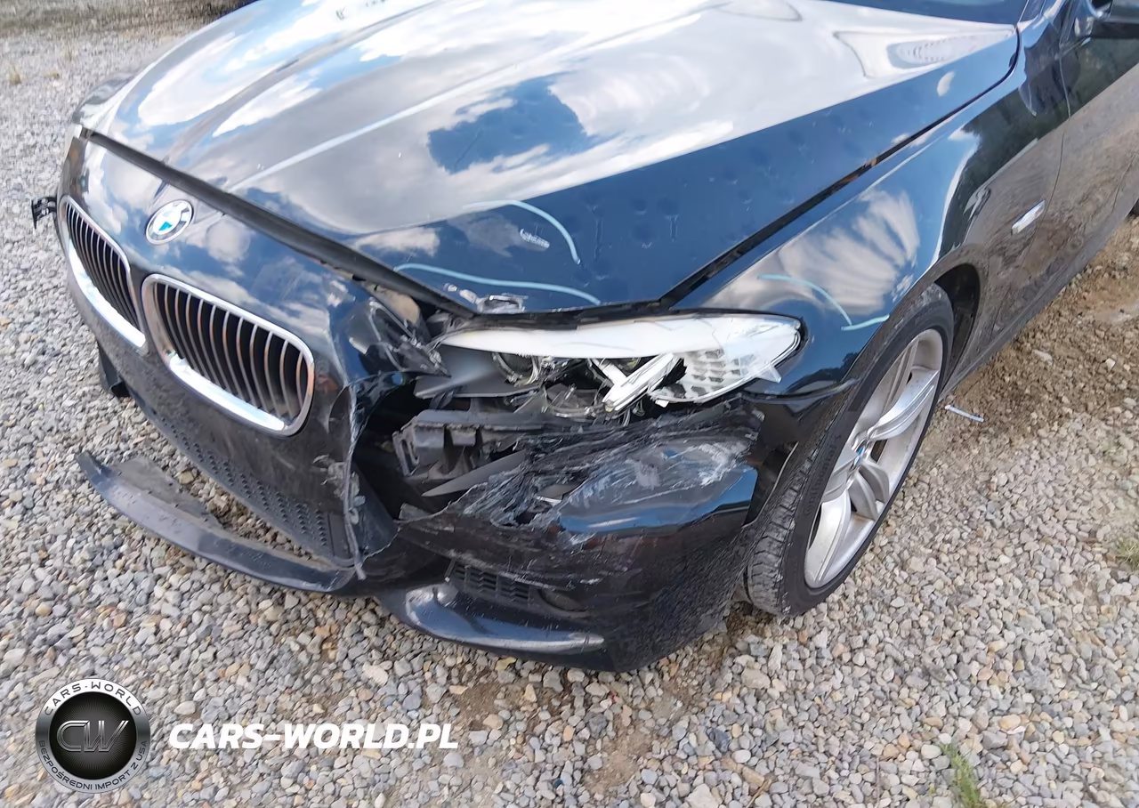 2013 BMW 535I VIN:WBAFR7C57DC819637 - 6