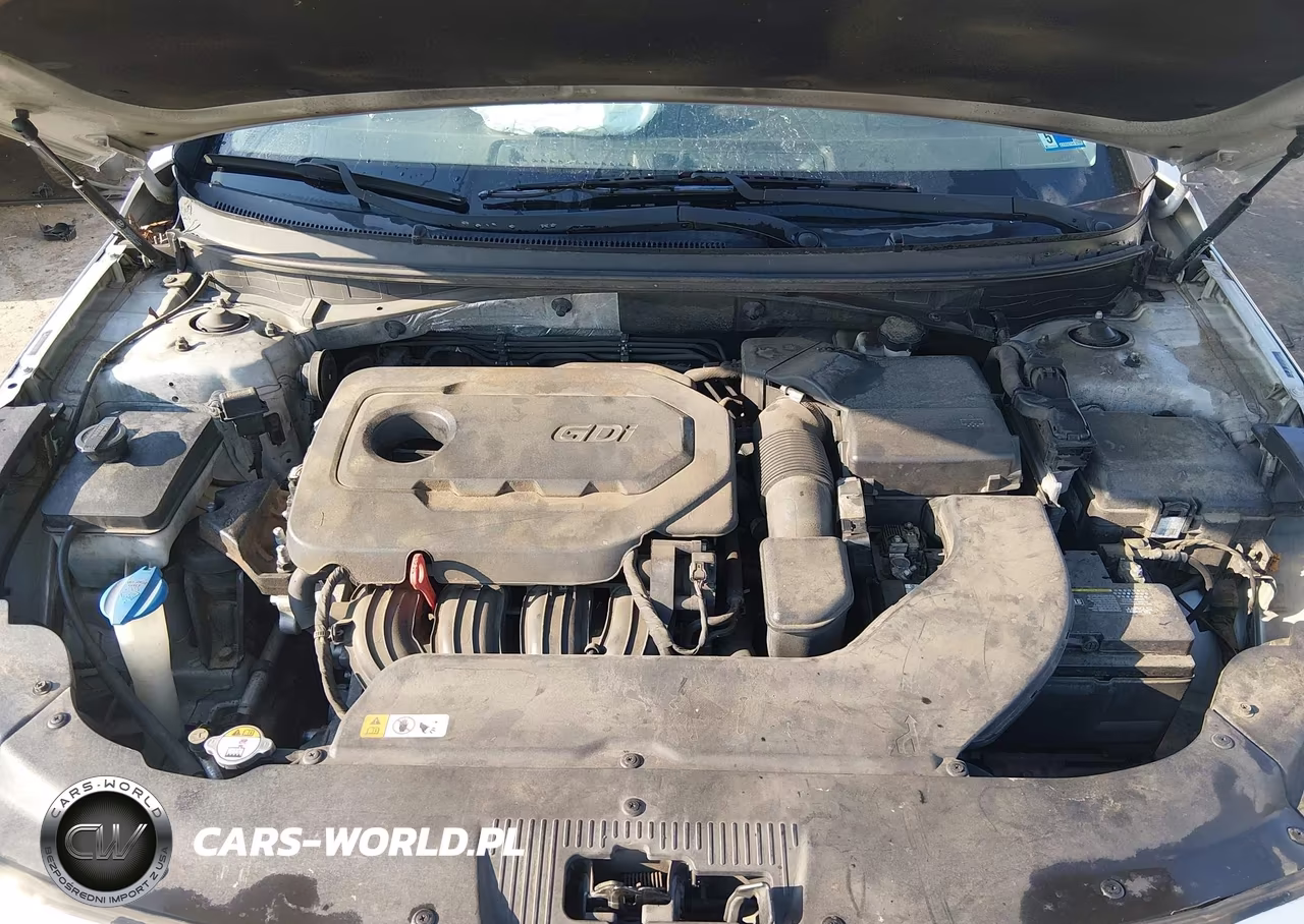 2015 Hyundai Sonata Sport VIN:5NPE34AF5FH114448 - 10