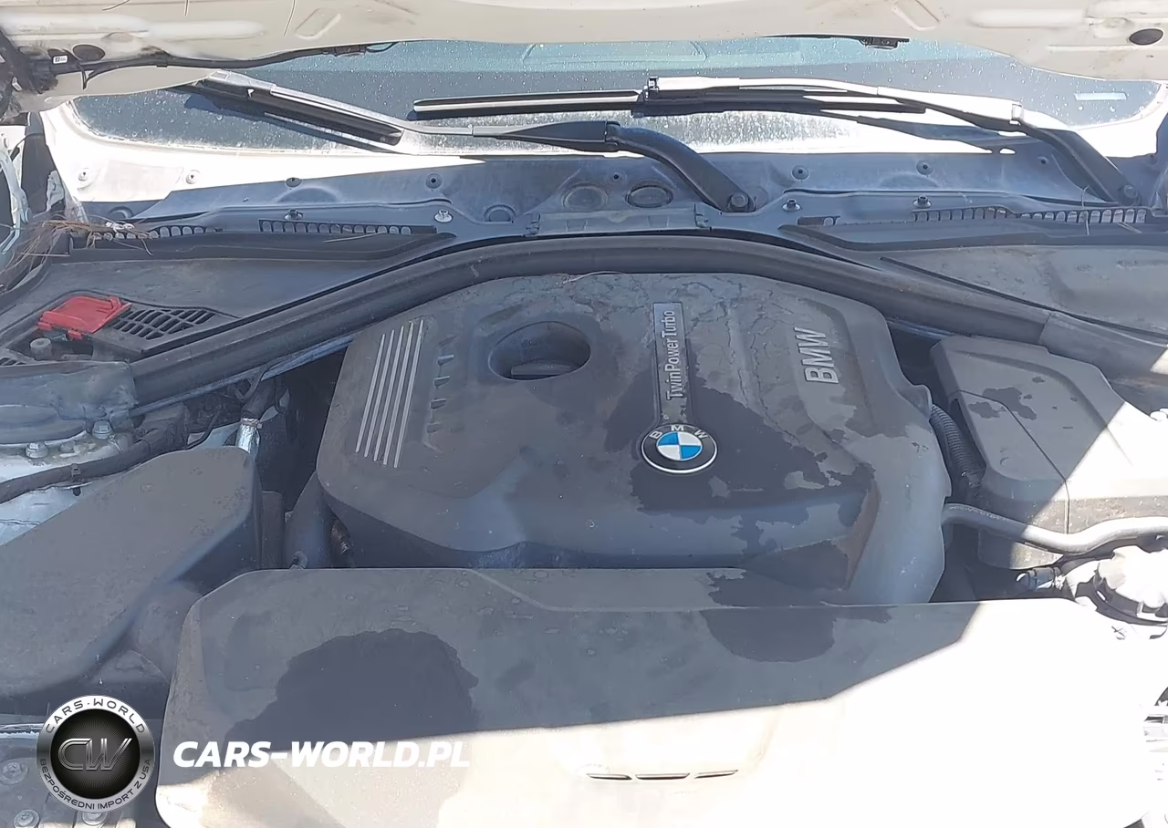2017 BMW 330I VIN:WBA8B9G36HNU53455 - 10
