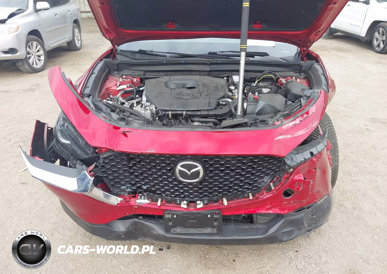 2025 Mazda Cx-30 2.5 S Premium Package VIN:3MVDMBDM0SM804585 - 10