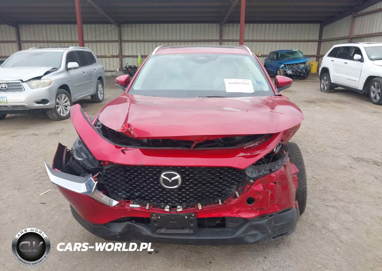 2025 Mazda Cx-30 2.5 S Premium Package VIN:3MVDMBDM0SM804585 - 13
