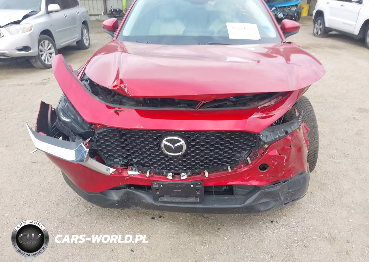 2025 Mazda Cx-30 2.5 S Premium Package VIN:3MVDMBDM0SM804585 - 6